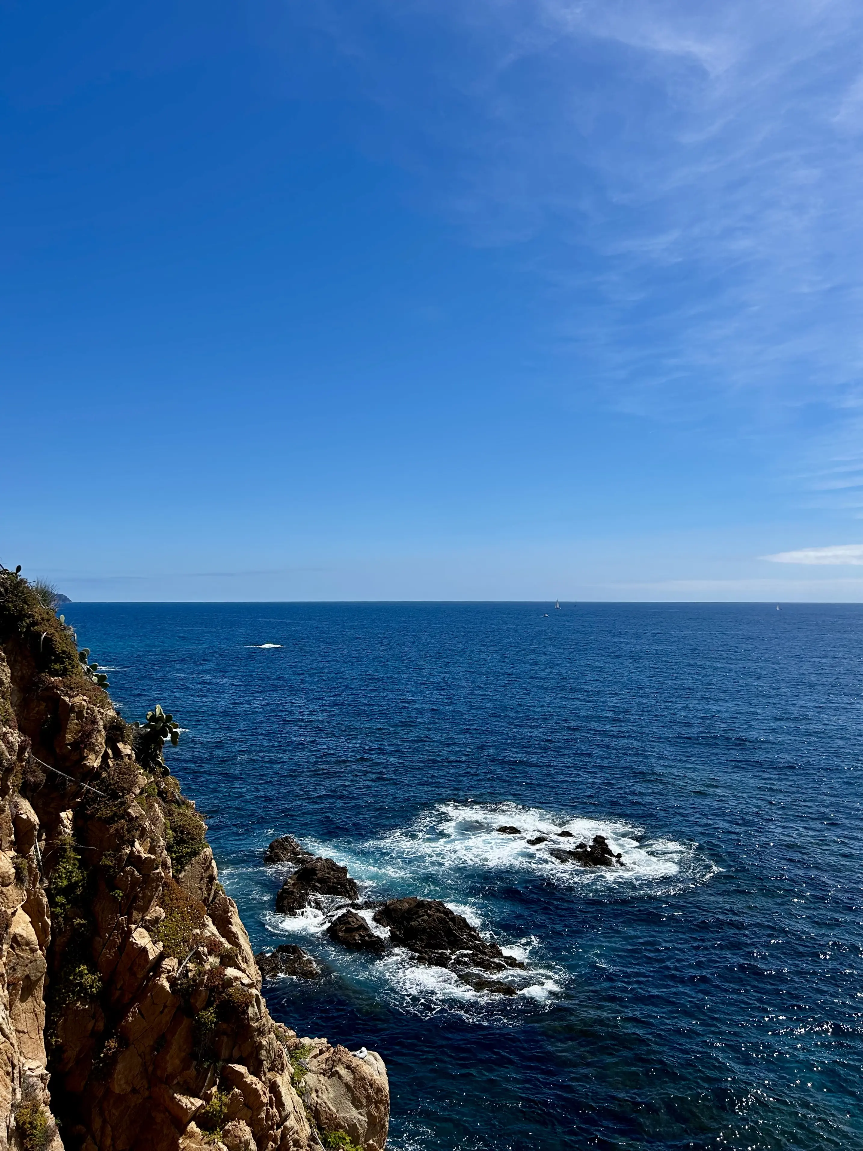 Marimurtra, Costa Brava, Catalonia, 2025